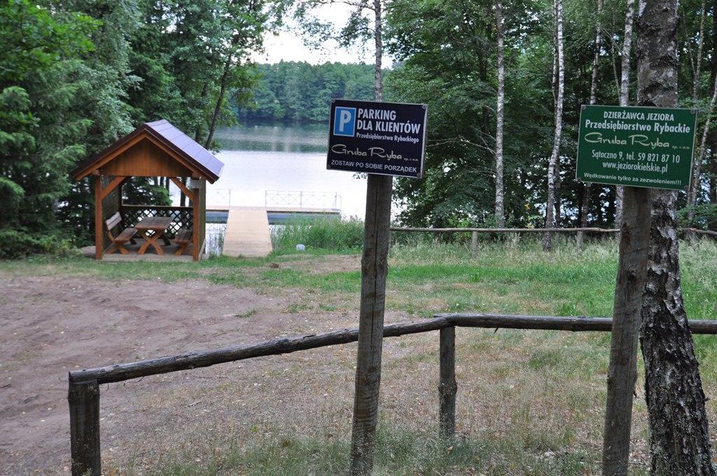 Apartament W Lesie Lipnica  Екстер'єр фото