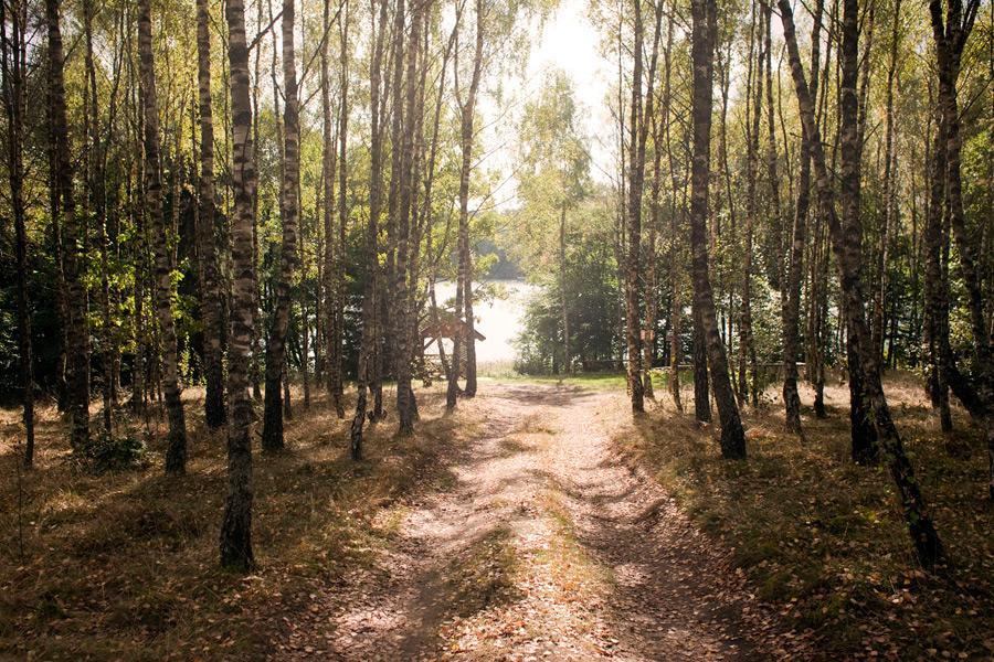 Apartament W Lesie Lipnica  Екстер'єр фото